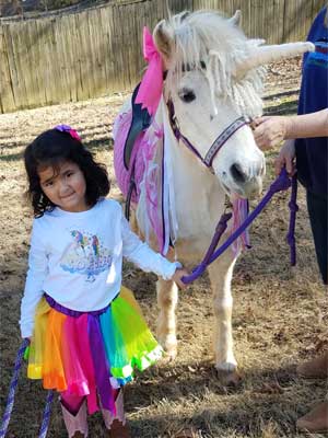 PONY