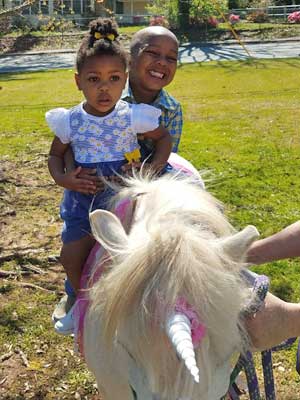 PONY