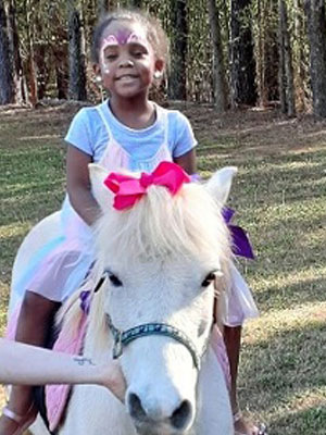 pony