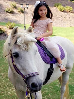 unicorn